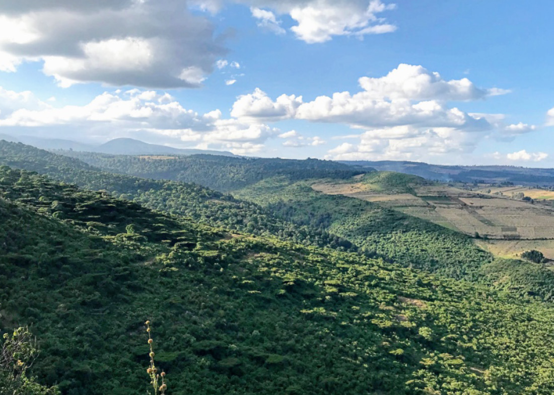 Mt Elgon 1100x785